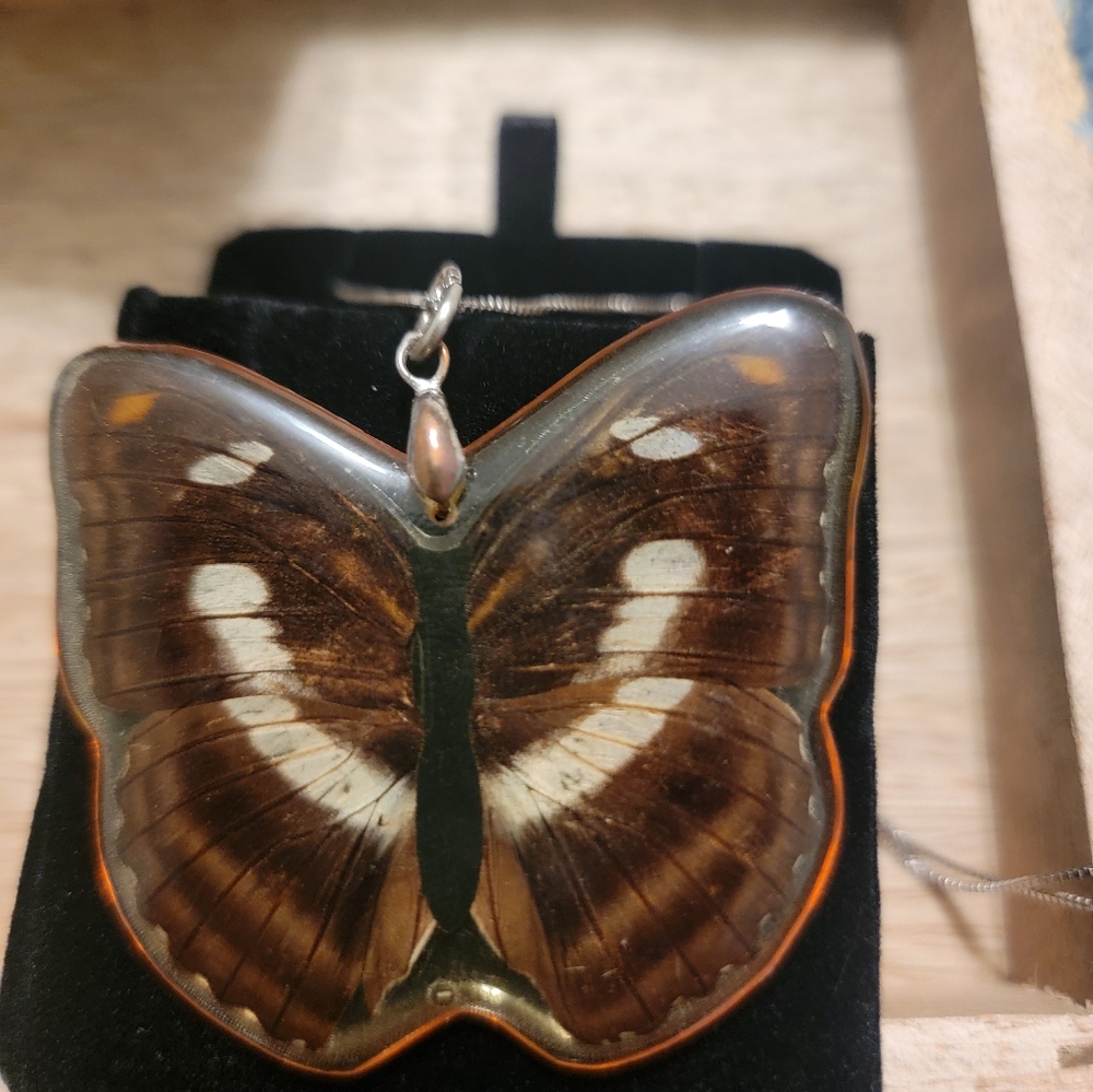 Real butterfly pendant on a sterling silver chain